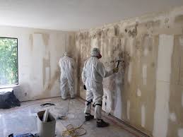 Biohazard Mold Removal in Winter Springs, FL